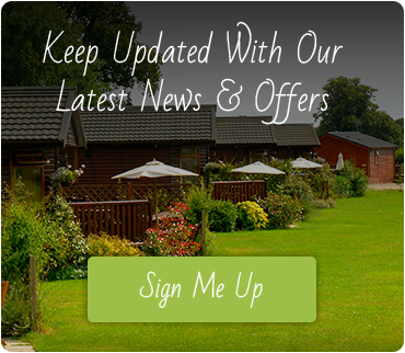 Newsletter Sign Up Square